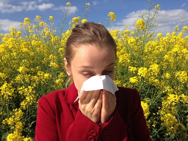 hay fever